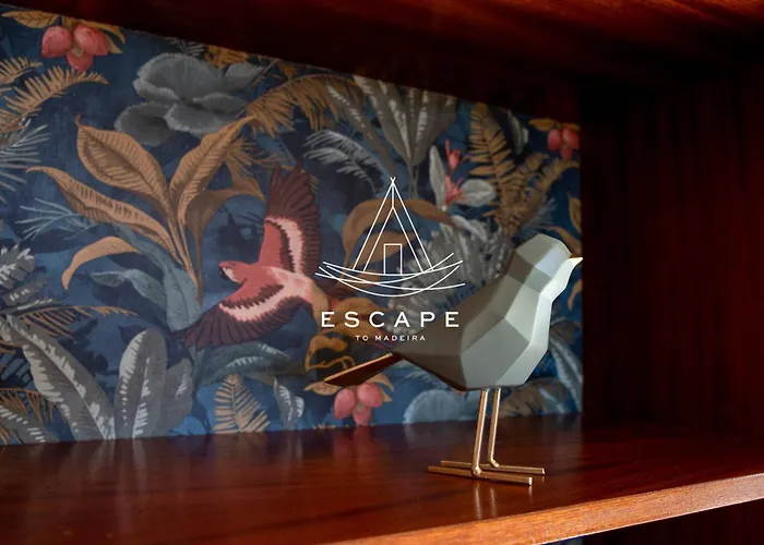 Casa Lucas By Escape To Madeira * 阿科达卡列塔